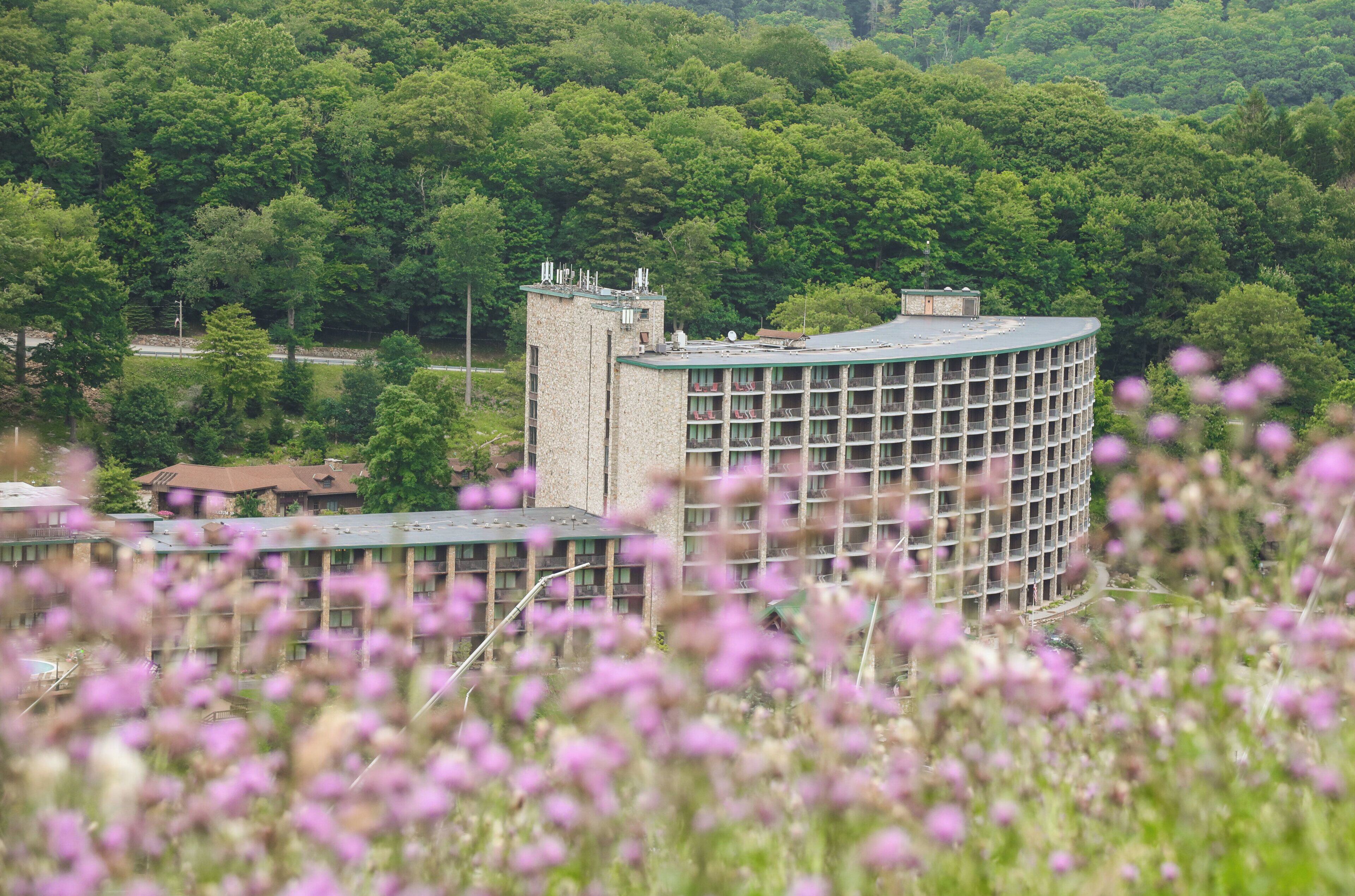 Um edifício circular com vários andares, rodeado por uma floresta verde densa.