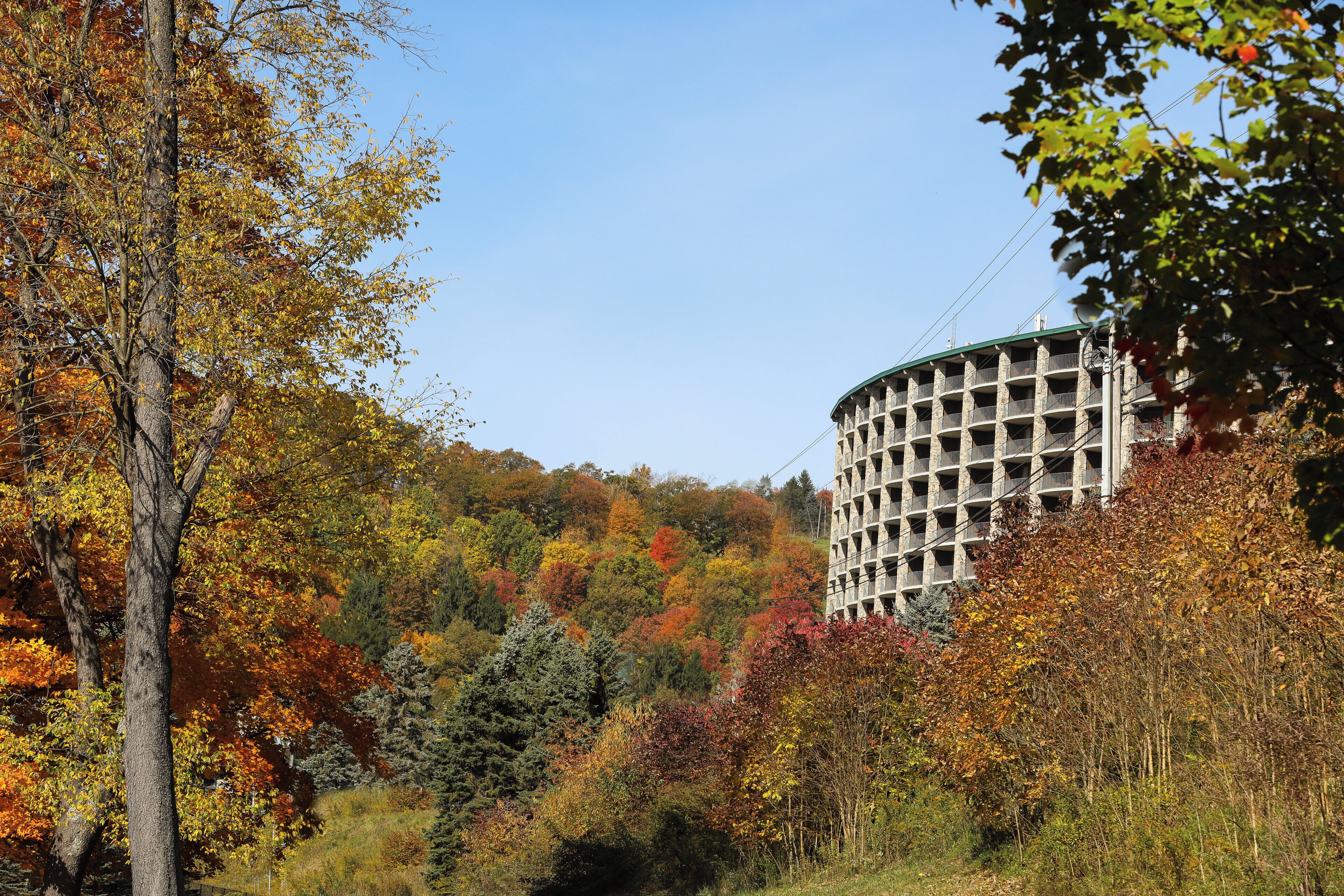 A building with a circular structure and a green roof, surrounded by autumn-colored trees.