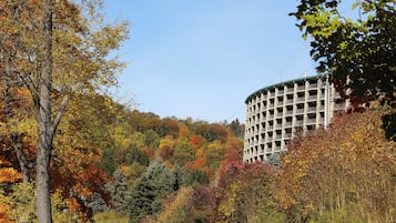 A building with a circular structure and a green roof, surrounded by autumn-colored trees.
