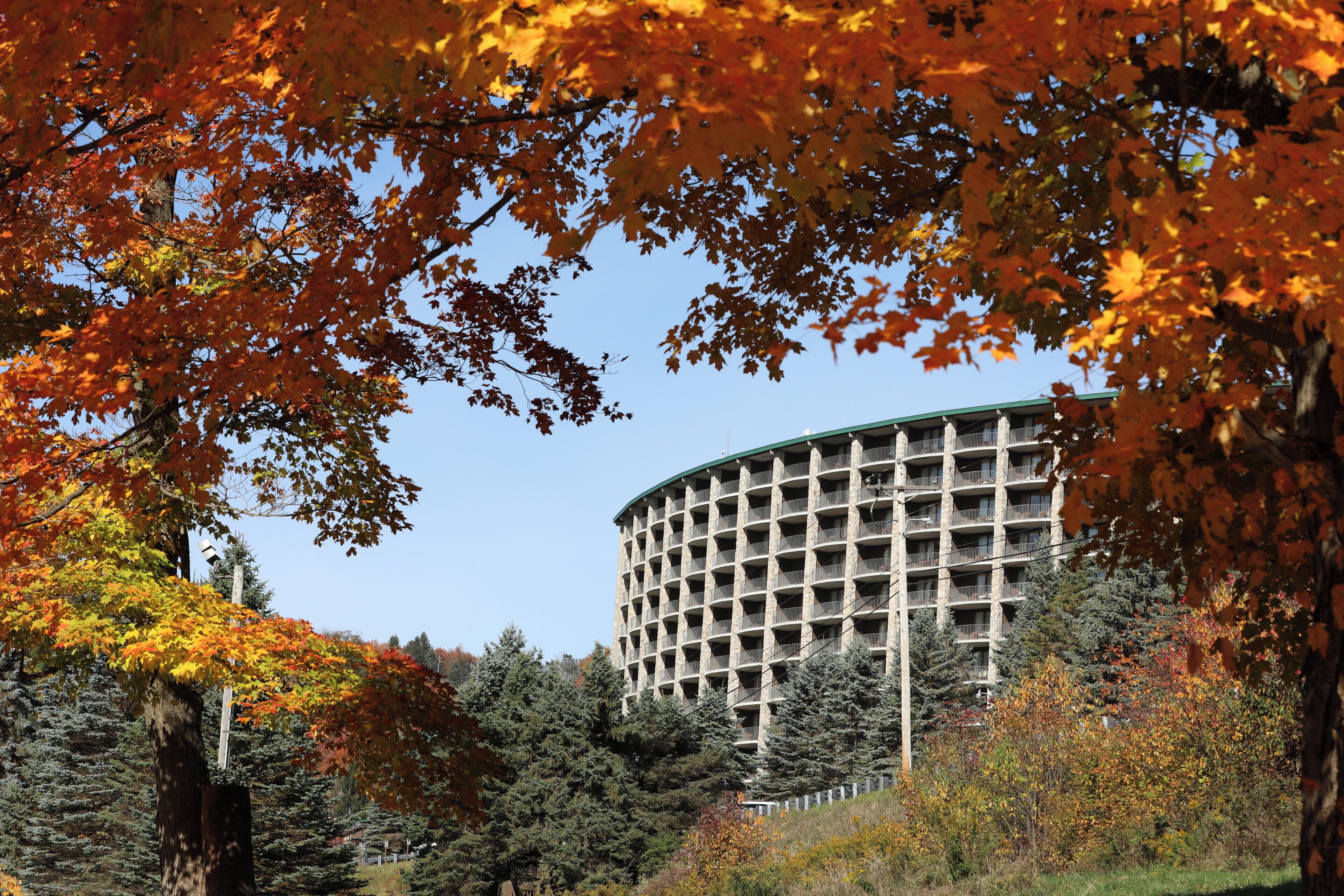 Un immeuble à plusieurs étages doté d’une façade incurvée, entouré d’arbres aux feuilles d’automne.
