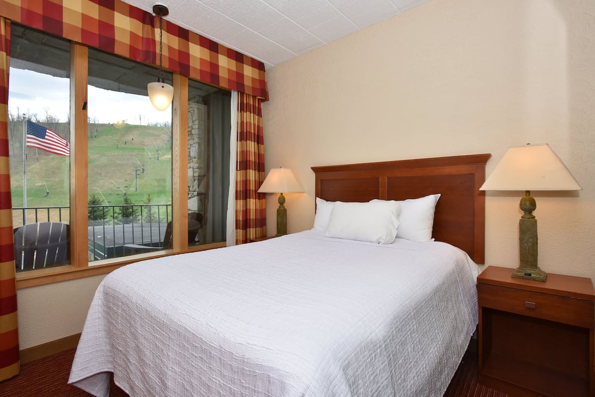 Iron/ironing board, rollaway beds, free WiFi, bed sheets