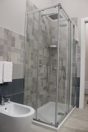 Regadera, secadora de cabello, bidet, toallas 