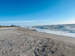 بالقرب من الشاطئ