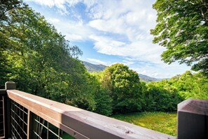 Property grounds - Minutes to Banner Elk, Quiet MTN Home, Fireplace! (Banner Elk)