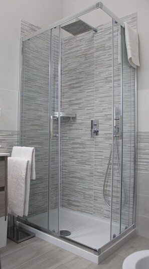 Shower, hair dryer, bidet, towels