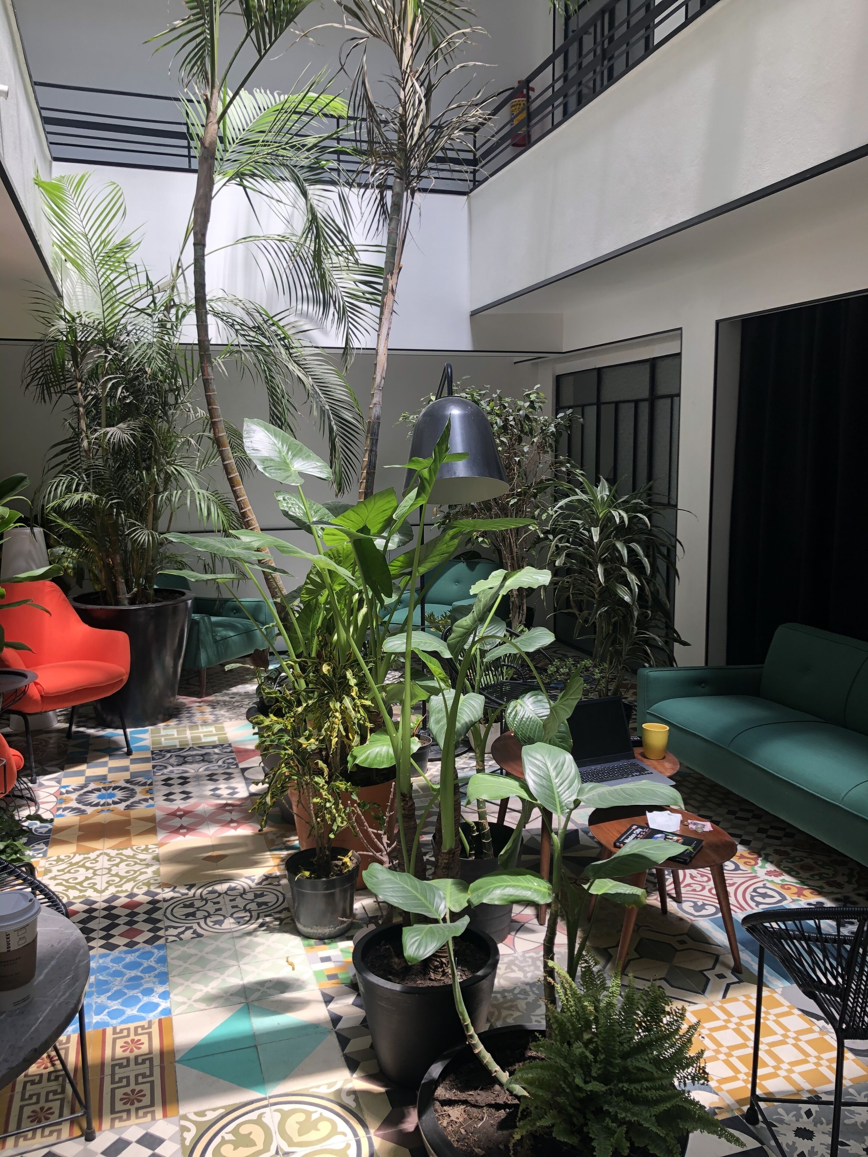 basic single room | terrace/patio