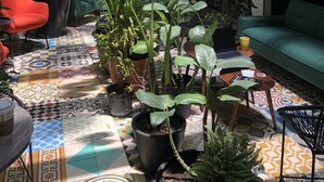 Basic Single Room | Teres/patio