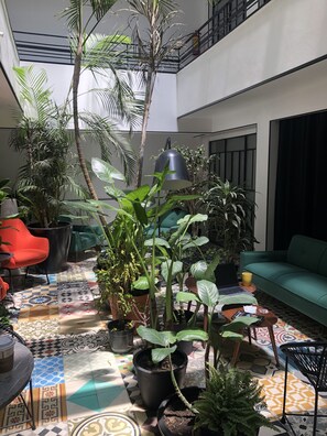 Basic Single Room | Terrace/patio - Hotel Itto Condesa (Mexico City)