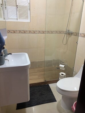 Hair dryer, towels, soap, toilet paper