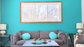 Smart TV, fireplace, books, stereo