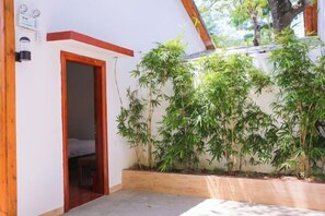 A room with a wooden door leading to a bed, a small window, and a wall with bamboo plants.