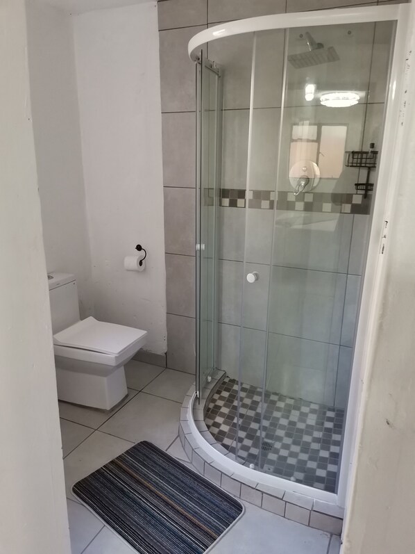 Une salle de bain avec une douche à parois de verre, des toilettes et un carrelage à motifs à carreaux.