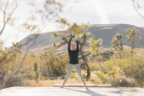 Property grounds - New Raven Ranch-Dreamy Compound With Spa, Hammock Circle, Yoga Platforms, & More (Yucca Valley)
