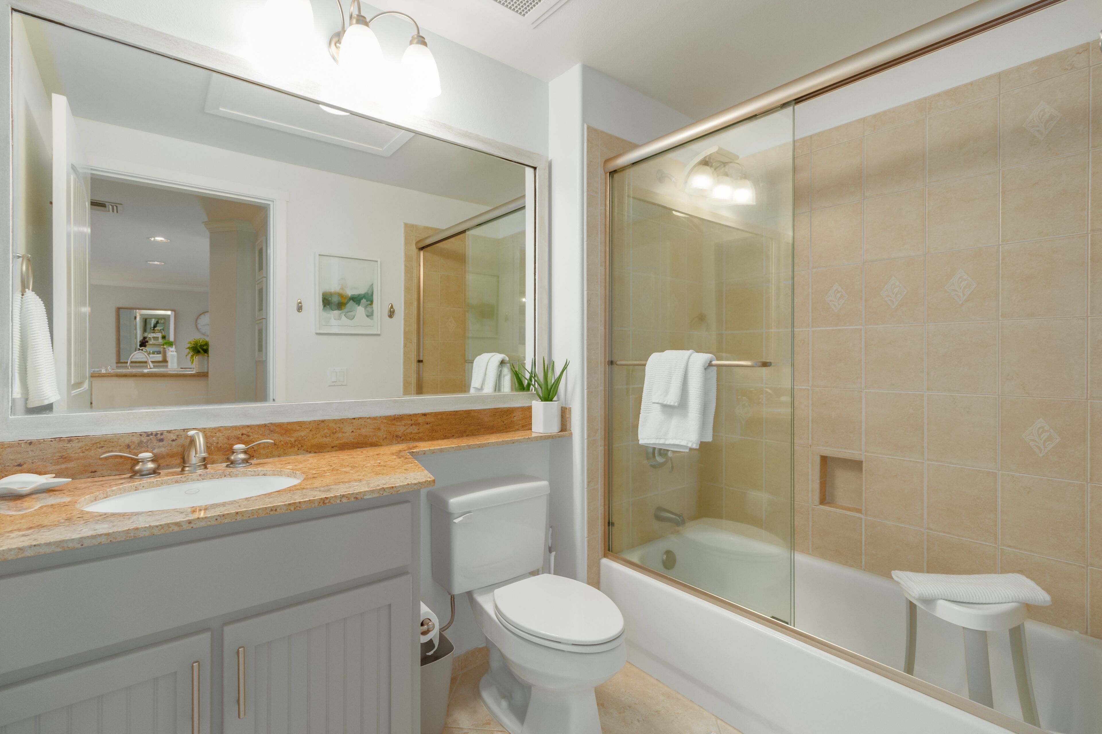 Combined shower/tub, hair dryer, towels, soap