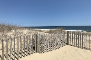 Playa en los alrededores