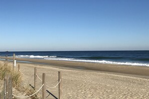 Plage à proximité