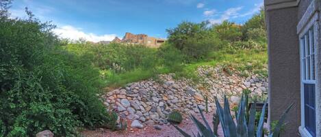 A garden with a stone pathway, various plants, and a building in the background.