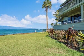 Um imóvel à beira-mar com gramado, palmeiras e vista para o oceano.