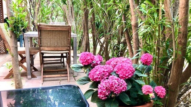 A garden area with a wicker chair, a table, and a potted plant with pink flowers. - Sweet Home Mare Li FERULI (Trinita d'Agultu)