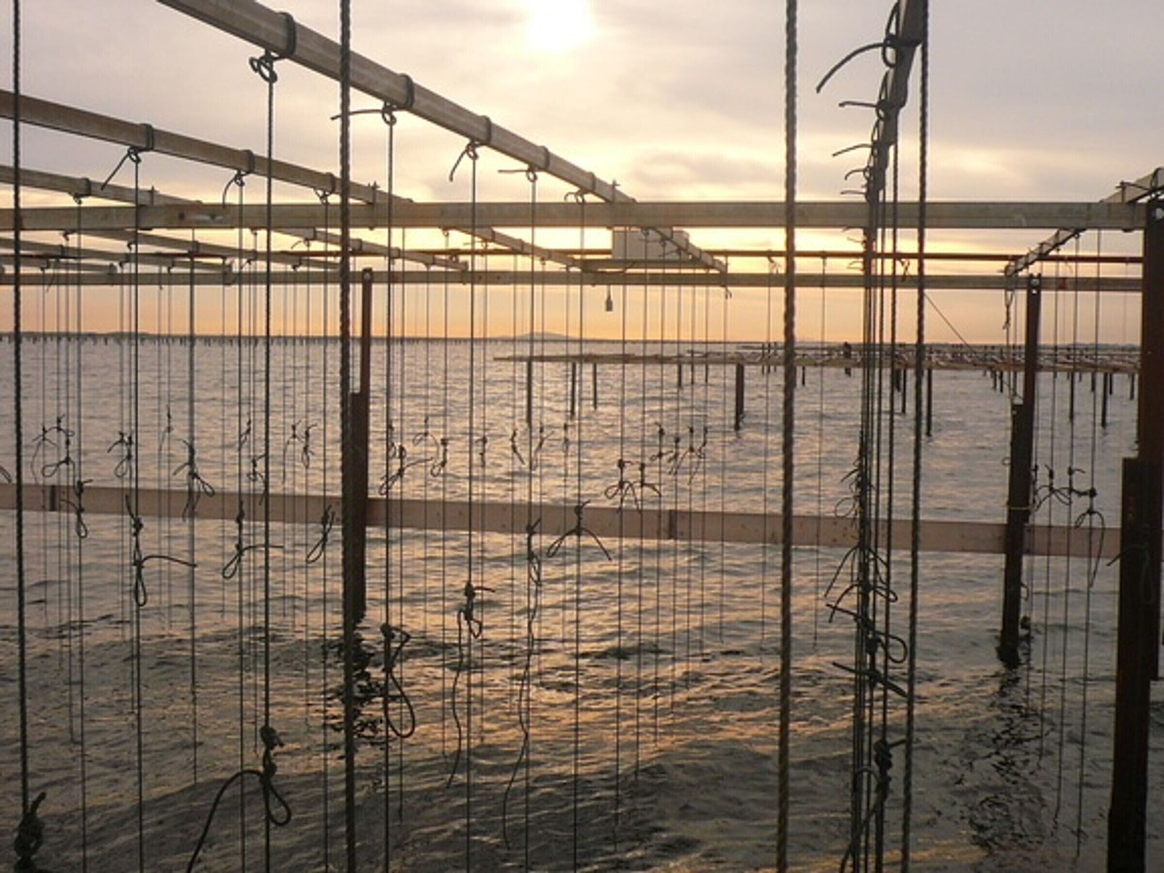 A large, open aquaculture facility with multiple suspended structures over water, likely used for farming aquatic organisms.