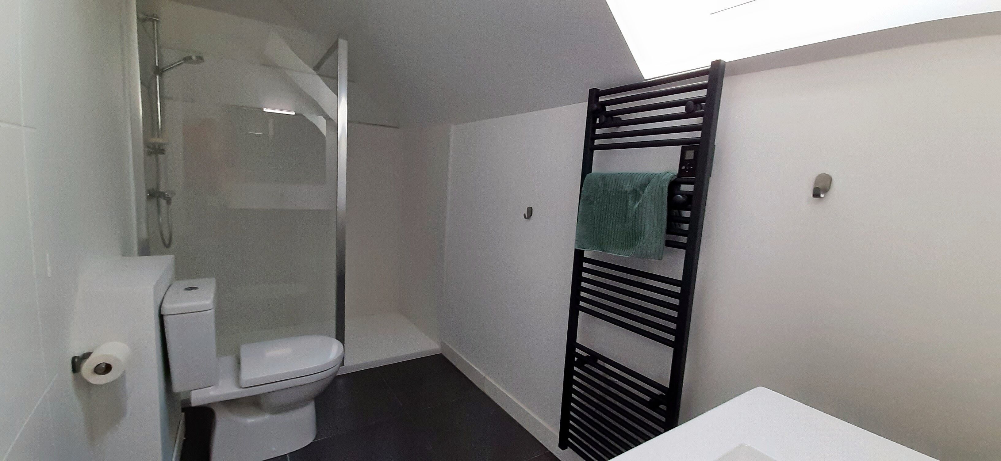 Un baño pequeño con inodoro, ducha y toallero.