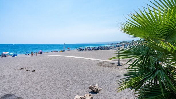 A beach with umbrellas, a clear sky, and a palm tree. - GuestHost - Naxos Seaside Apt with Gardens, Parking and Pool (Giardini Naxos)