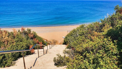 Phaedrus Living: Amorosa 13 Beachside Villa