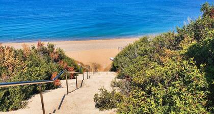 Phaedrus Living: Amorosa 13 Beachside Villa