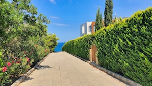 A paved pathway flanked by neatly trimmed hedges and flowering plants, leading towards a modern building with a clear view of the sea. - Phaedrus Living: Amorosa 13 Beachside Villa (Neo Chorio)