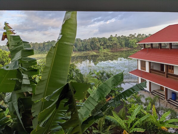 Property grounds - Cozy One Bedroom Villa Facing Paddy fields amidst a Fruit garden (Thrissur)
