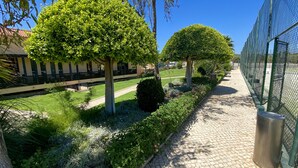 A pathway lined with neatly trimmed hedges and trees, leading to a building with a covered walkway.