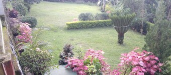 Heaven's woodland home, Cozy 4 BR Marangu kilimanjaro, mt view, Wi-Fi, parking