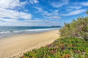 A beach with a clear sky, ocean waves, and vegetation along the shore.