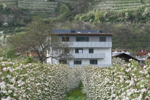 Un immeuble à plusieurs étages, doté d’un toit plat et entouré d’arbres en fleurs.