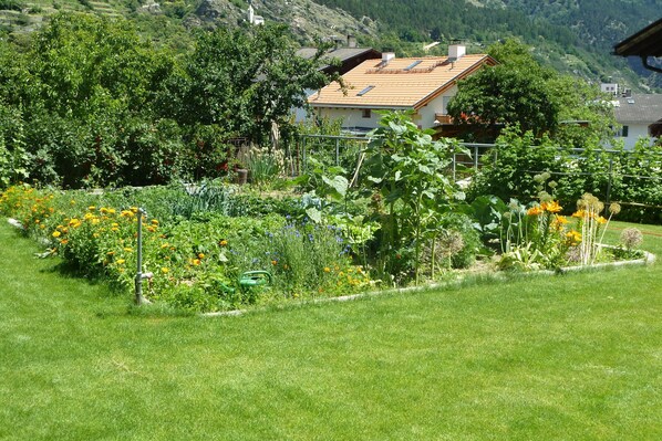 A garden with various plants and flowers, a house with a sloped roof, and a mountainous backdrop.