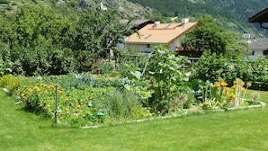 Ein Garten mit verschiedenen Pflanzen und Blumen, ein Haus mit geneigtem Dach und eine gebirgige Kulisse.