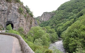 A road curving through a forested valley with a rocky cliff and a tunnel entrance. - Le Quiet Gîte à la Campagne (Charbonnières-les-Vieilles)
