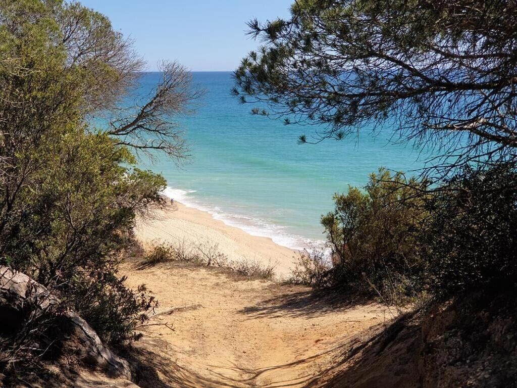 Una spiaggia nelle vicinanze