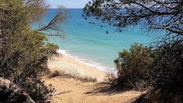 Una spiaggia nelle vicinanze