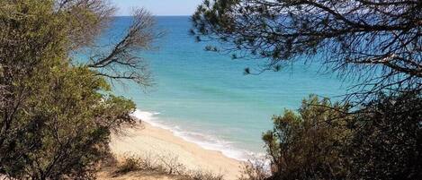 Una playa cerca