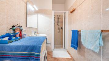 Shower, free toiletries, hair dryer, towels