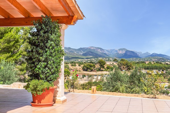 A potted plant under a wooden pergola with a view of mountains and a valley.