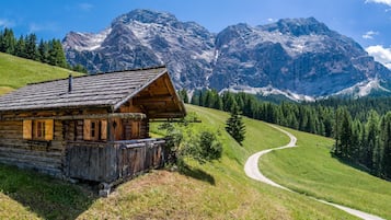 Esterni