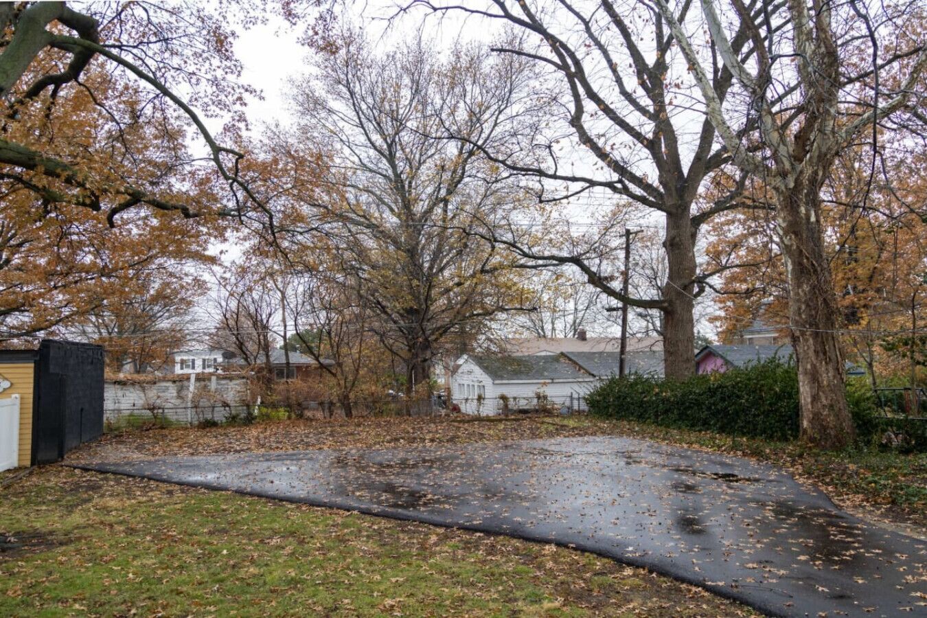 Zona residenziale con vialetto asfaltato, terreno ricoperto di foglie e alberi spogli, che suggerisce l'autunno.