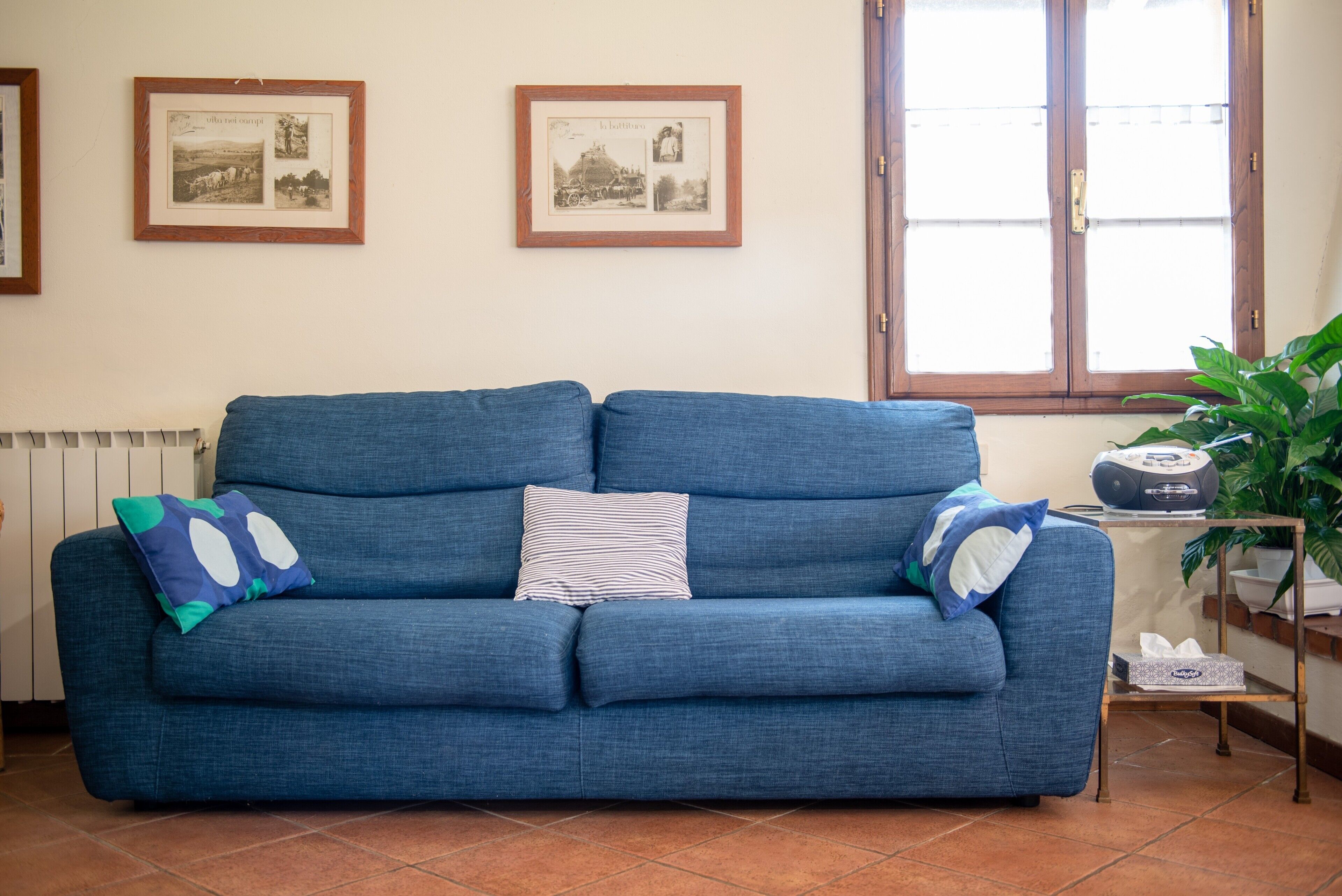 Ein blaues Sofa mit zwei Kissen, ein gerahmtes Bild an der Wand und ein Fenster mit Jalousien.