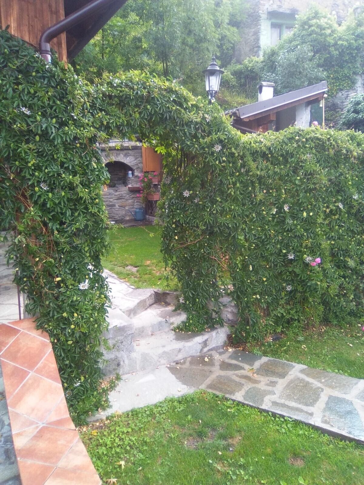 Parco della struttura