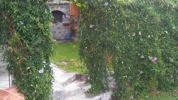 Área da propriedade