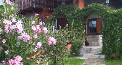 Pet-Friendly 'Mountain Chalet' with Pool