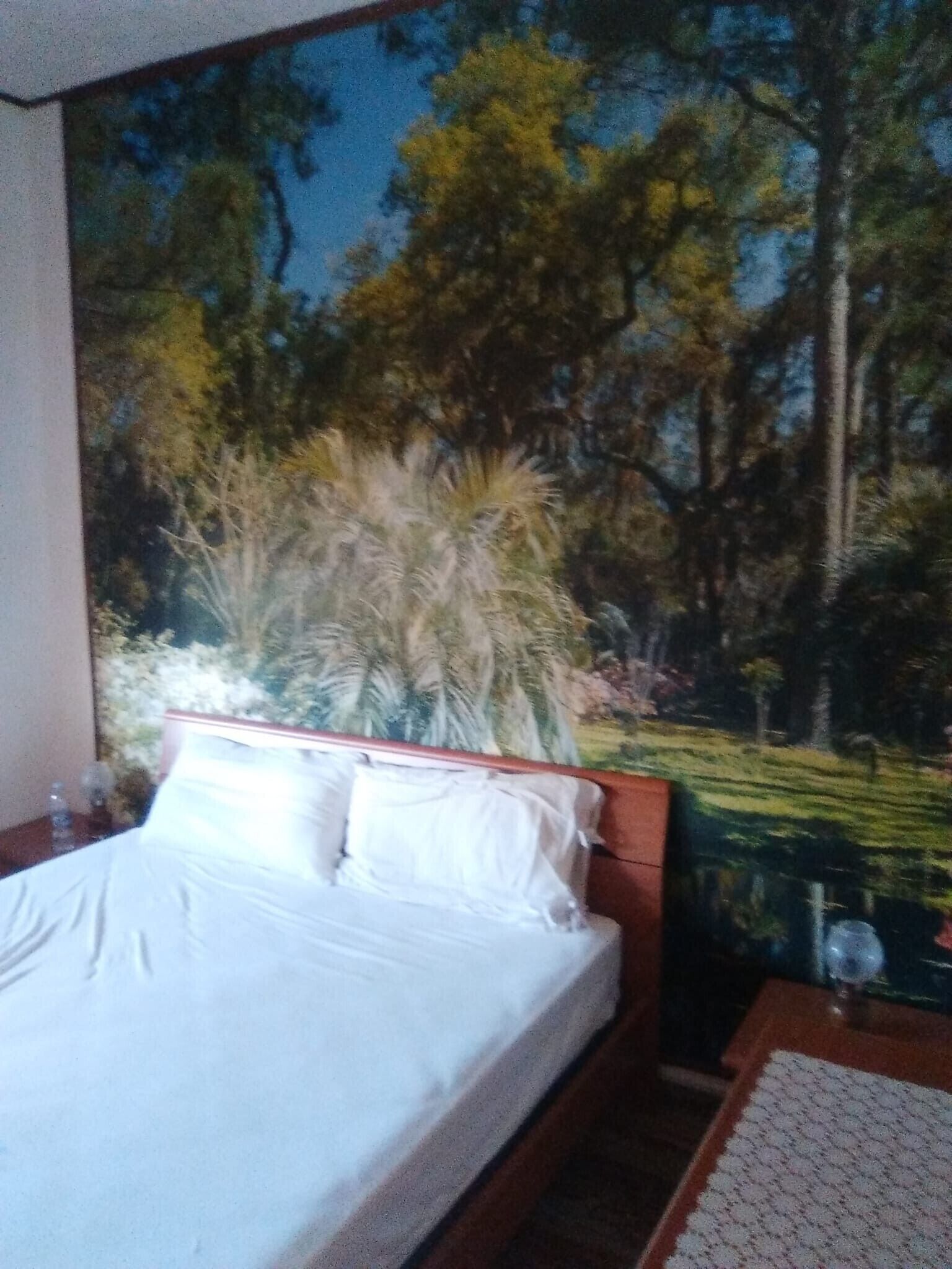 2 間睡房、熨斗/熨衫板、床單