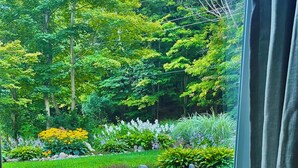 Vista per una finestra d'un jardí exuberant amb una terrassa de fusta, vegetació verda abundant i diverses plantes i flors.